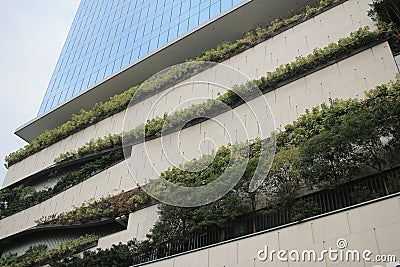 green plant wall Editorial Stock Photo