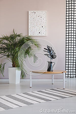 Green plant in white pot next to coffee wooden table with black leaf in black vase, real photo with poster on empty wall Stock Photo