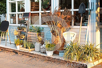 Spicy herbs in pots on outdoor on terrace. Cozy decor veranda at house. Facade house Rustic style. Stock Photo