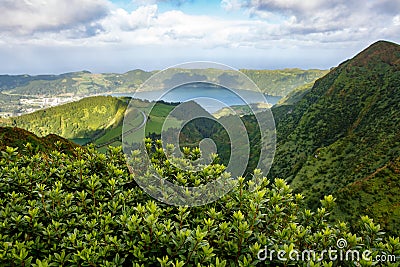 Green plants and volcanic lake on the background Stock Photo