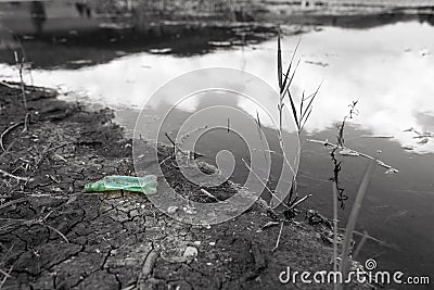 Green plastic bottle in monochrome lake shore Stock Photo