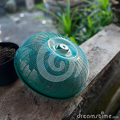 A Green Bowl. Stock Photo
