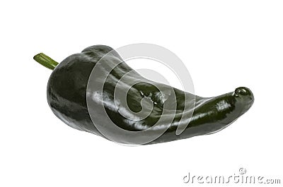 Green Poblano Chili Isolated Stock Photo