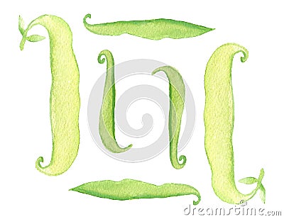 Green pods of beans. Watercolor. Isolated on white background Stock Photo