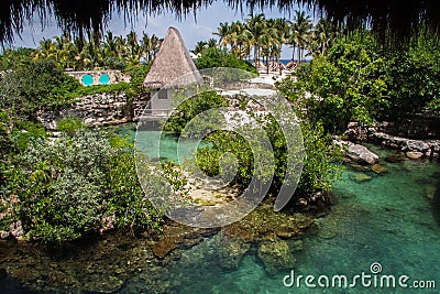 Green Pool in Xcaret Mexico Editorial Stock Photo