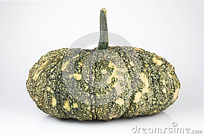 Green pumpkin Stock Photo
