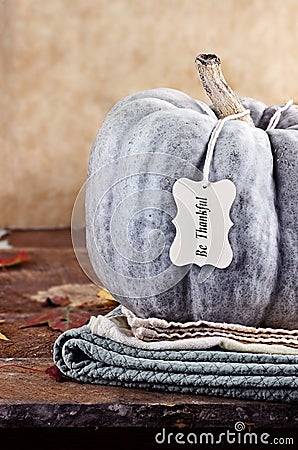 Green Pumpkin with Tag Stock Photo