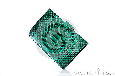 Green Python Leather wallet Stock Photo