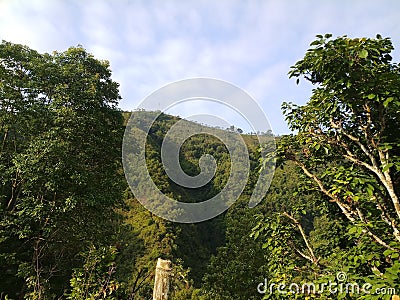 green rasidental area natural beauti Stock Photo