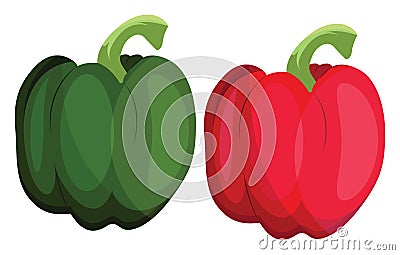 Green and red bellpepper vector illustration of vegetables Vector Illustration
