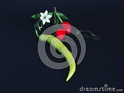 Closeup of three chilli peppers with leaves and a flower on dark background Stock Photo