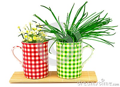 Green and red cups with spring flowers and plants on the mat Stock Photo