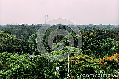 Green and red leaf trees in the park from above with Vidyasagar Setu, also known as the Second Hooghly Bridge in the background. Stock Photo