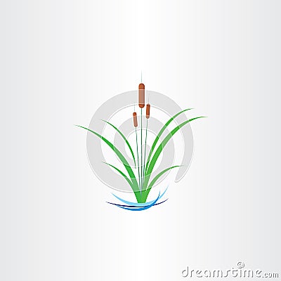 green reed bulrushes vector design Vector Illustration