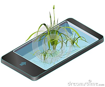 Green reed and water plants in mobile phone. Isometric clump of reed growing in pool, lake or pond. Cartoon Illustration