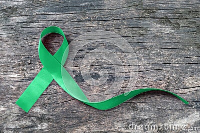 Green ribbon awareness symbolic bow for Kidney, Gallbladder, Bile Duct Cancer, Glaucoma, Leukemia, Traumatic Brain Injury Stock Photo