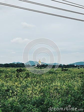 Green rice field and the golden bouddha in Ayutthaya, thailand Stock Photo