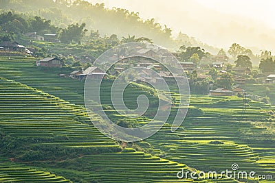Green rice fields on mountains in Sapa Village Stock Photo