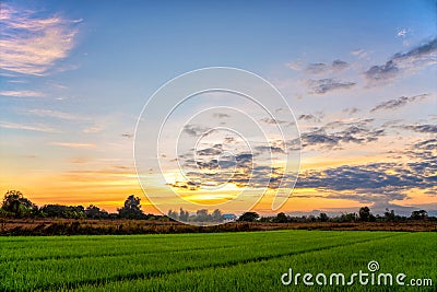 Green rice fields with sun set over the mountain. Stock Photo