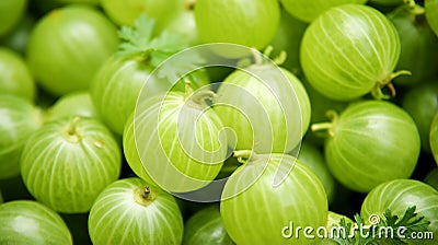 Green ripe gooseberries background close up. generative ai Stock Photo