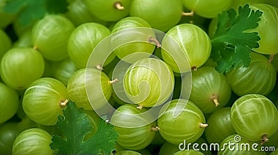 Green ripe gooseberries background close up. generative ai Stock Photo