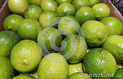 Green ripe lime, vitamin tropical fruits. Sour-bitter product. Stock Photo
