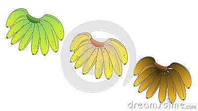 Green, ripe (yellow) and overripe (brown) bananas isolated Cartoon Illustration