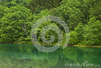 Green River in Norway Stock Photo