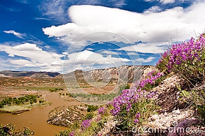 Green River Landscape Stock Photo