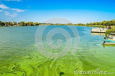 Green river waters with Algal bloom Stock Photo