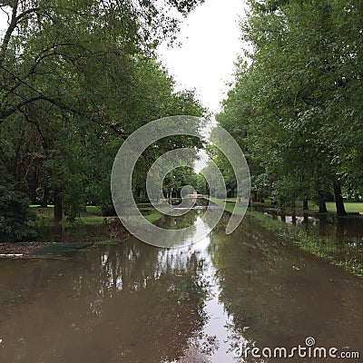 Green road after rain Stock Photo