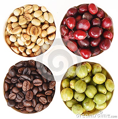 Green, roasted and fresh coffee beans Stock Photo