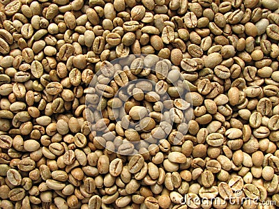 Green robusta coffee beans Stock Photo