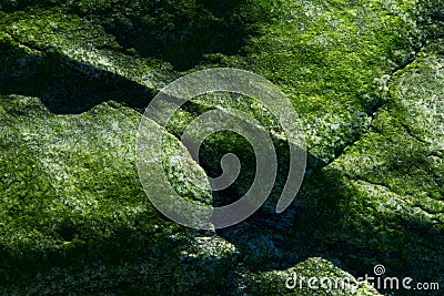 Green Rock IV Stock Photo