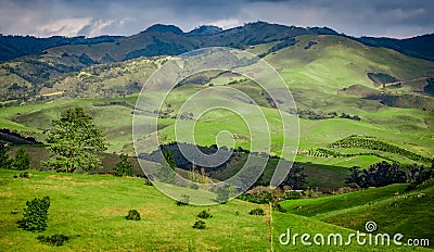 Green Rolling Hills of California near Cambria Stock Photo