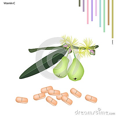 Green Rose Apple with Vitamin C on White Background Vector Illustration