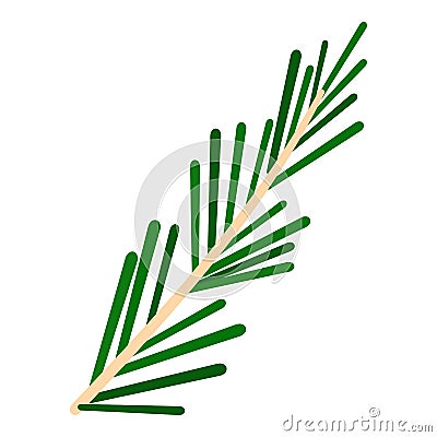 Green rosemary twig icon isolated Vector Illustration