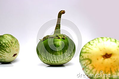 Selective focus of Green round eggplant isolated on white background Stock Photo