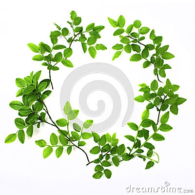 Green round frame with small leaves on white background. Flat lay Stock Photo