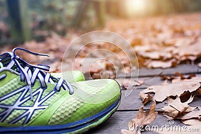 Green runner shoe in the fall leaves on the ground in the forest in autumn season Stock Photo