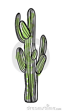 Green saguaro cactus hand drawn icon Vector Illustration