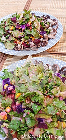 Green salad with grilled squid. Stock Photo