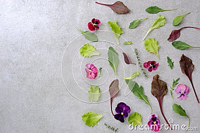 Green salad with herbs and edible garden flowers. Stock Photo
