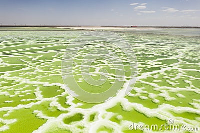 The green saline lake, natural lake background Stock Photo