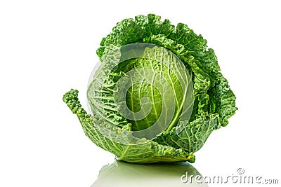 Green Savoy cabbage Stock Photo