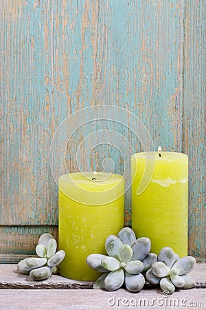 Green scented candles and succulent plants Stock Photo