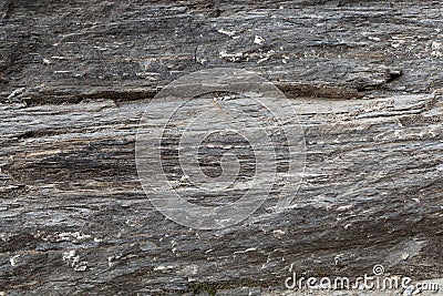 Green schists with faults, Paleozoic age from the Alps Stock Photo