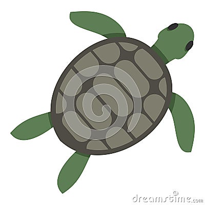 Green sea turtle icon isolated Vector Illustration