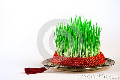 Green semeni on vintage plate, decorated with twist red ribbon and red tassel Stock Photo