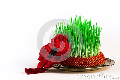 Green semeni on vintage plate, decorated with twist red ribbon and red tassel Stock Photo